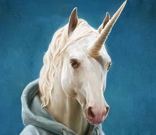 Find your business unicorn